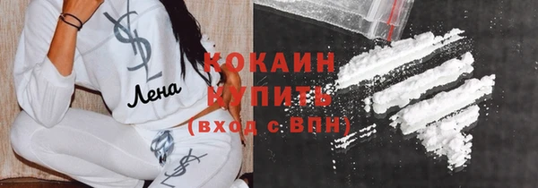 сатива Бородино
