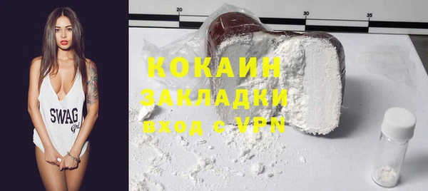 сатива Бородино