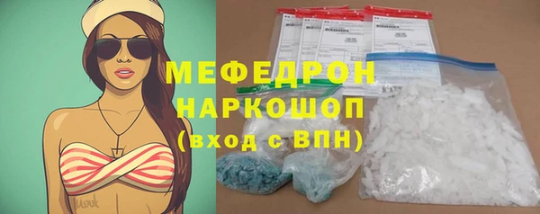 сатива Бородино