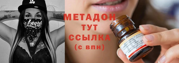 сатива Бородино