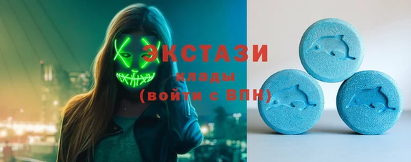сатива Бородино