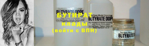 сатива Бородино