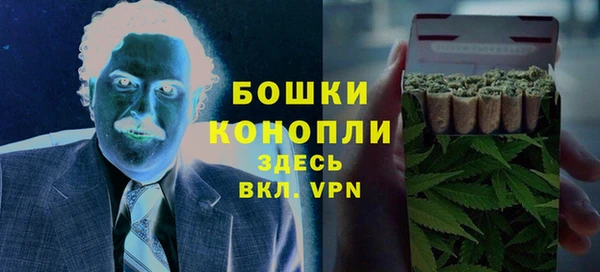 сатива Бородино