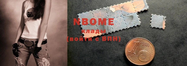 сатива Бородино
