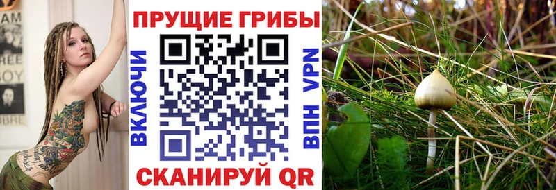Псилоцибиновые грибы мухоморы  Бутурлиновка 