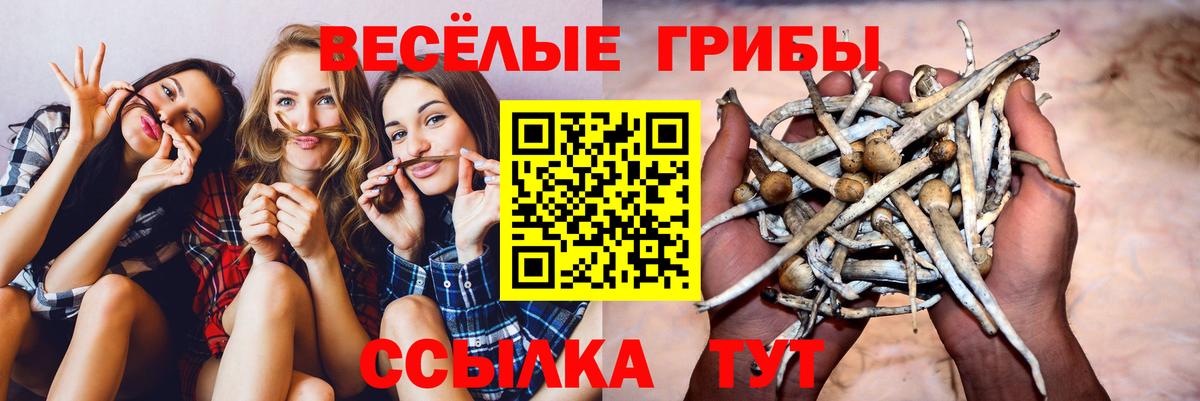 Псилоцибиновые грибы прущие грибы Бутурлиновка