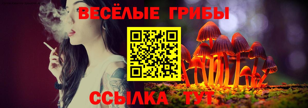 Галлюциногенные грибы Psilocybe  Вход с VPN  Бутурлиновка 